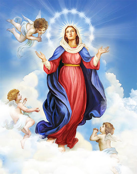 Thứ Hai Tuần Xx Tn - 15.8 Đức Mẹ Hồn Xác Lên Trời - Dòng Đức Maria Nữ Vương  Hòa Bình